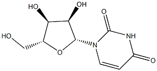 URIDINE Struktur