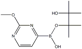 2-METHOXYPYRIMIDINE-4-BORONIC ACID PINACOL ESTER Struktur