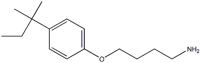 1-(4-aminobutoxy)-4-(2-methylbutan-2-yl)benzene Struktur