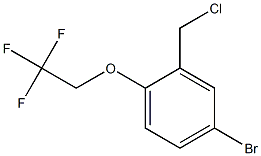 4-bromo-2-(chloromethyl)-1-(2,2,2-trifluoroethoxy)benzene Struktur