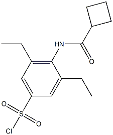 4-cyclobutaneamido-3,5-diethylbenzene-1-sulfonyl chloride Struktur