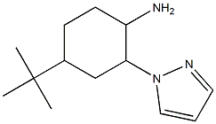 4-tert-butyl-2-(1H-pyrazol-1-yl)cyclohexanamine Struktur