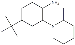 4-tert-butyl-2-(2-methylpiperidin-1-yl)cyclohexan-1-amine Struktur