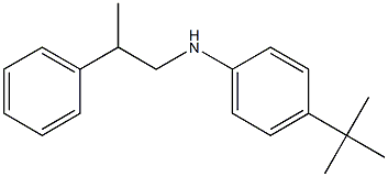 4-tert-butyl-N-(2-phenylpropyl)aniline Struktur