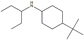 4-tert-butyl-N-(pentan-3-yl)cyclohexan-1-amine Struktur