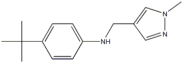 4-tert-butyl-N-[(1-methyl-1H-pyrazol-4-yl)methyl]aniline Struktur