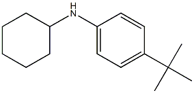 4-tert-butyl-N-cyclohexylaniline Struktur