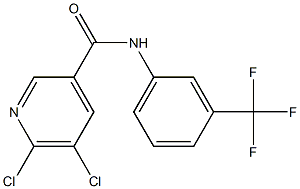 5,6-dichloro-N-[3-(trifluoromethyl)phenyl]pyridine-3-carboxamide Struktur