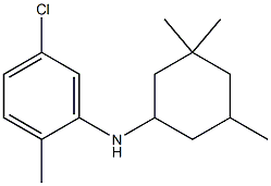 5-chloro-2-methyl-N-(3,3,5-trimethylcyclohexyl)aniline Struktur