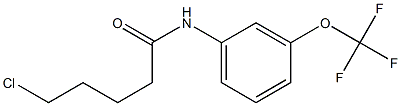 5-chloro-N-[3-(trifluoromethoxy)phenyl]pentanamide Struktur