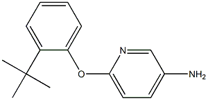 6-(2-tert-butylphenoxy)pyridin-3-amine Struktur