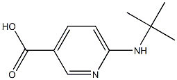 6-(tert-butylamino)pyridine-3-carboxylic acid Struktur