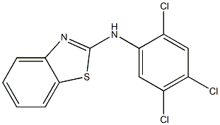 N-(2,4,5-trichlorophenyl)-1,3-benzothiazol-2-amine Struktur