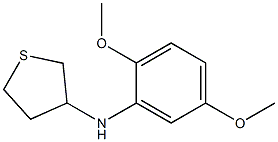 N-(2,5-dimethoxyphenyl)thiolan-3-amine Struktur