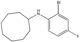 N-(2-bromo-4-fluorophenyl)cyclooctanamine Struktur