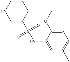 N-(2-methoxy-5-methylphenyl)piperidine-3-sulfonamide Struktur