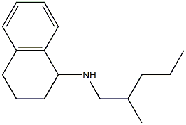 N-(2-methylpentyl)-1,2,3,4-tetrahydronaphthalen-1-amine Struktur