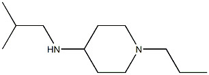 N-(2-methylpropyl)-1-propylpiperidin-4-amine Struktur