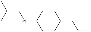 N-(2-methylpropyl)-4-propylcyclohexan-1-amine Struktur