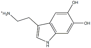 2-(5,6-Dihydroxy-1H-indol-3-yl)ethanaminium Struktur