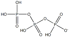 dihydrogen triphospahte ion Struktur