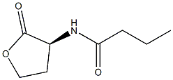 N-butanoyl-L-homoserine lactone Struktur