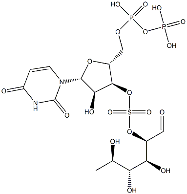 uridine diphosphate sulfoquinovose Struktur