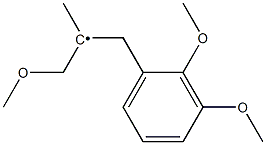 (2,3-Dimethoxy-benzyl)-(2-methoxy-1-methyl-ethyl)- Struktur