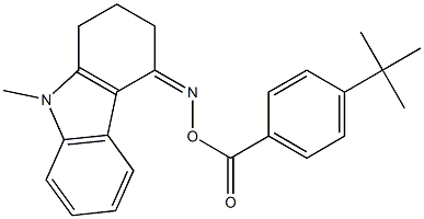 4-({[4-(tert-butyl)benzoyl]oxy}imino)-9-methyl-2,3,4,9-tetrahydro-1H-carbazole Struktur