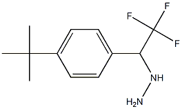 1-(1-(4-tert-butylphenyl)-2,2,2-trifluoroethyl)hydrazine Struktur