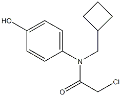 2-chloro-N-(cyclobutylmethyl)-N-(4-hydroxyphenyl)acetamide Struktur