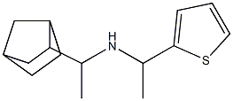 (1-{bicyclo[2.2.1]heptan-2-yl}ethyl)[1-(thiophen-2-yl)ethyl]amine Struktur