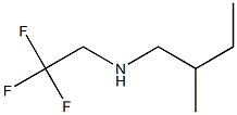 (2-methylbutyl)(2,2,2-trifluoroethyl)amine Struktur