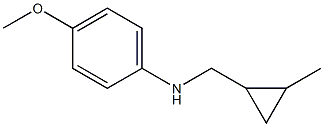 (4-methoxyphenyl)(2-methylcyclopropyl)methylamine Struktur