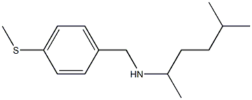 (5-methylhexan-2-yl)({[4-(methylsulfanyl)phenyl]methyl})amine Struktur