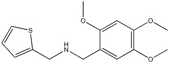 (thiophen-2-ylmethyl)[(2,4,5-trimethoxyphenyl)methyl]amine Struktur