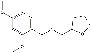 [(2,4-dimethoxyphenyl)methyl][1-(oxolan-2-yl)ethyl]amine Struktur