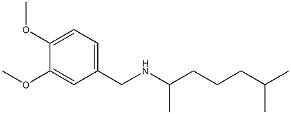 [(3,4-dimethoxyphenyl)methyl](6-methylheptan-2-yl)amine Struktur