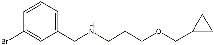 [(3-bromophenyl)methyl][3-(cyclopropylmethoxy)propyl]amine Struktur