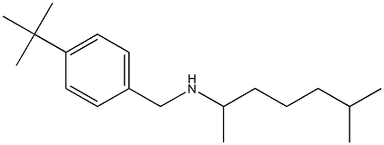 [(4-tert-butylphenyl)methyl](6-methylheptan-2-yl)amine Struktur