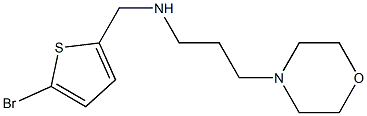 [(5-bromothiophen-2-yl)methyl][3-(morpholin-4-yl)propyl]amine Struktur