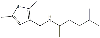 [1-(2,5-dimethylthiophen-3-yl)ethyl](5-methylhexan-2-yl)amine Struktur