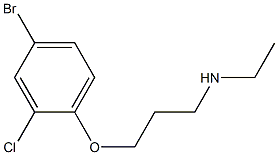 [3-(4-bromo-2-chlorophenoxy)propyl](ethyl)amine Struktur