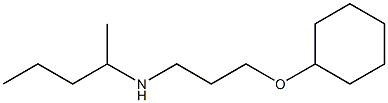 [3-(cyclohexyloxy)propyl](pentan-2-yl)amine Struktur