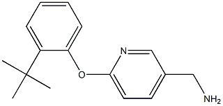 [6-(2-tert-butylphenoxy)pyridin-3-yl]methylamine Struktur