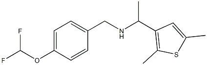 {[4-(difluoromethoxy)phenyl]methyl}[1-(2,5-dimethylthiophen-3-yl)ethyl]amine Struktur