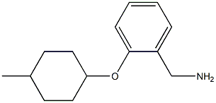 {2-[(4-methylcyclohexyl)oxy]phenyl}methanamine Struktur