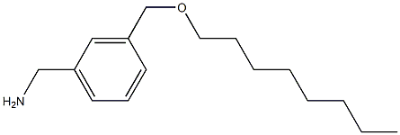 {3-[(octyloxy)methyl]phenyl}methanamine Struktur