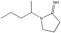 1-(pentan-2-yl)pyrrolidin-2-imine Struktur