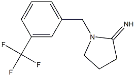 1-{[3-(trifluoromethyl)phenyl]methyl}pyrrolidin-2-imine Struktur